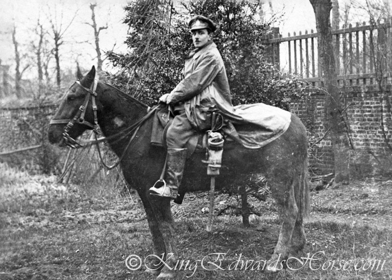 789 Pte ( later Lieutenant) George Meikle KEH (Ireland) with 'Duke' Somewhere in France