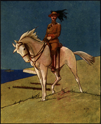 King Edwards Horse Postcard